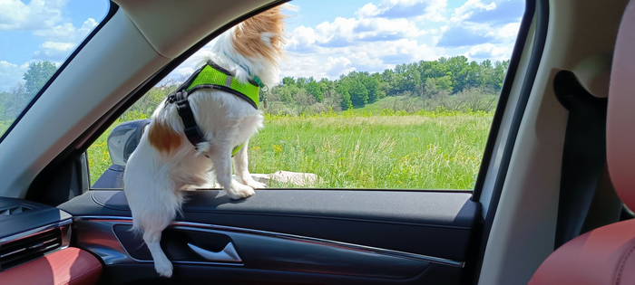 �� ���� ���� �����, � � ����!