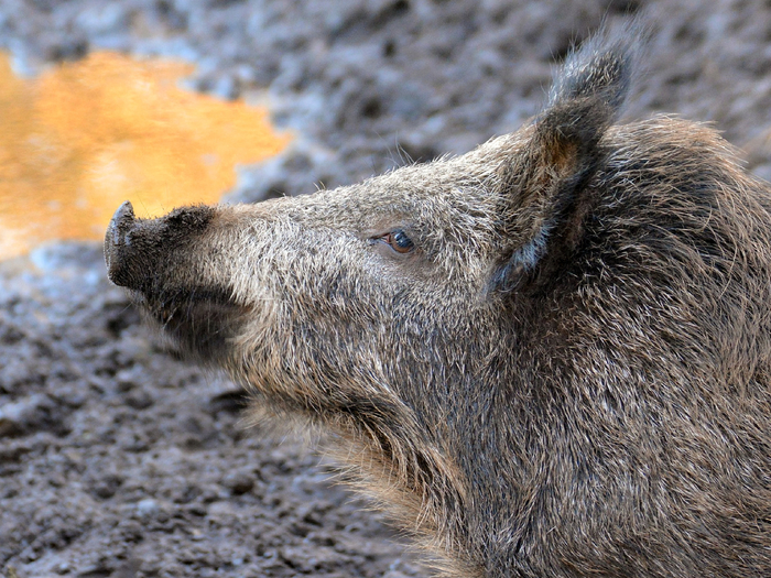 ���������� ��������� �� ��� ���������� � ������ �� ���������! ������� ����� ���������� ������ � ����, �������� ��� ����� � ������ � �����, �� ������ �� ������. ��� ������ ������ ������ �������... � ���� �������� ����������.