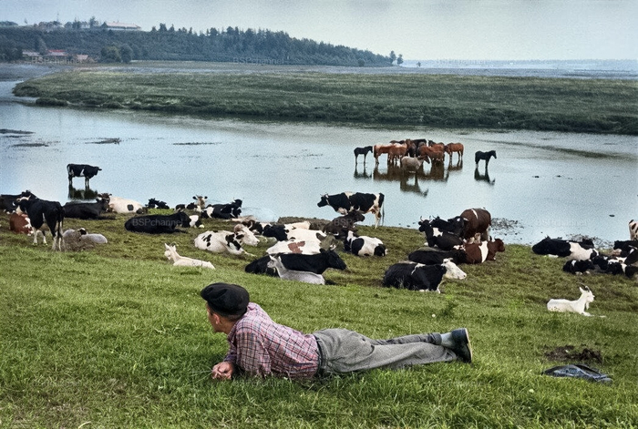 ��������: ���� ������-�������