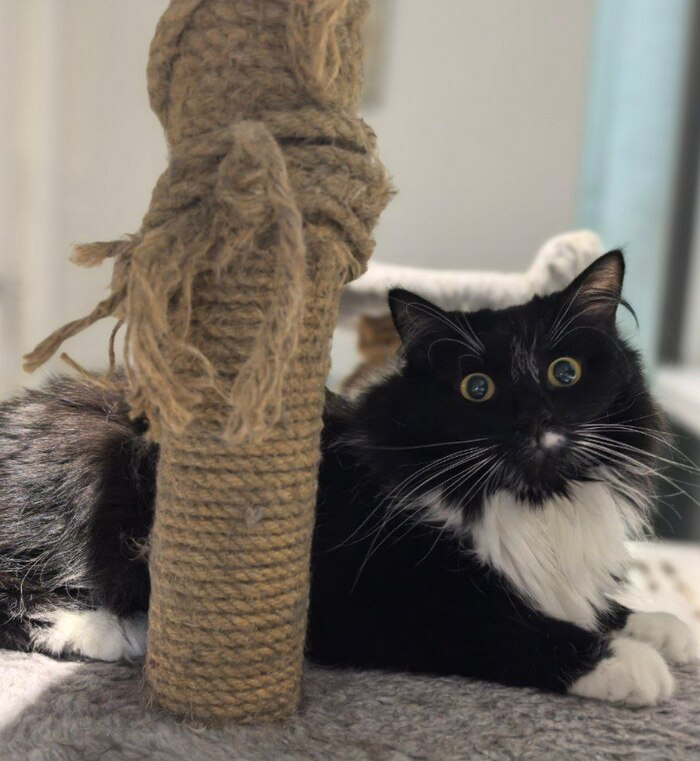 ���� - �������