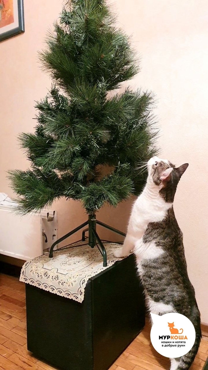 � ����� �������� ������� � ������ ��������, ��� �� ������!