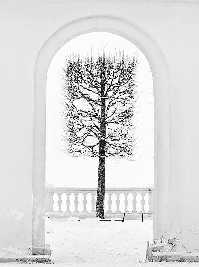 ������������� �������