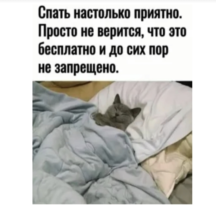 Спи, пока не запретили