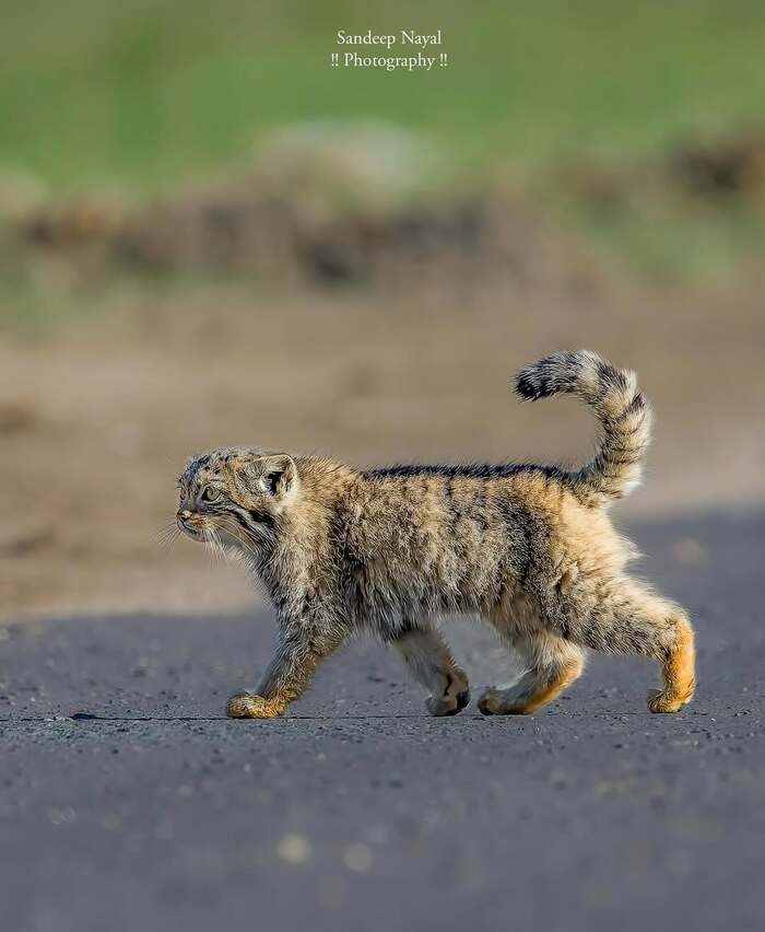 ������ ���� � �� ������...