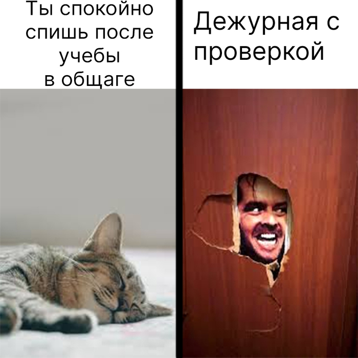 Приехал в общежитие после тяжёлых пар и прилёг отдохнуть, и тут по этажу с проверкой комнат на чистоту пошла дежурная... Проверка прошла, переносимся в 0:25 - дежурная делает визит в комнату, якобы громко разговариваем :-/