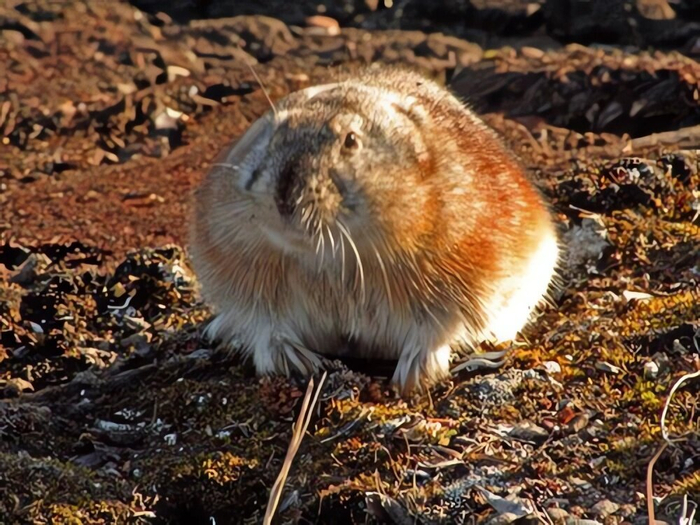 ���� ������� ������� � ����. �� �����, ��� ���� ������ � ����, � �� ��������.