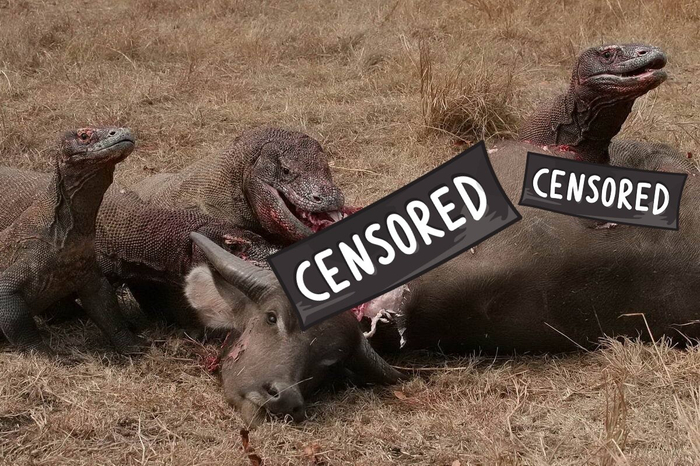 ����� ��������, �������� �������� �����, ����� ������� ������.