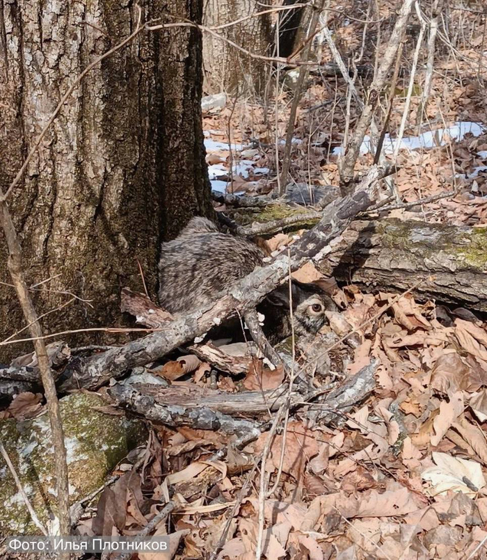 ����<a href="https://pikabu.ru/story/chempion_po_igre_v_pryatki_13776082?u=https%3A%2F%2Ft.me%2Famurleo_land%2F8000&t=%D0%BE%D1%82%D1%81%D1%8E%D0%B4%D0%B0&h=e7380486d576fe93fc0cf2bbfa34e2fe527aa286" title="https://t.me/amurleo_land/8000" target="_blank" rel="nofollow noopener"> ������</a>