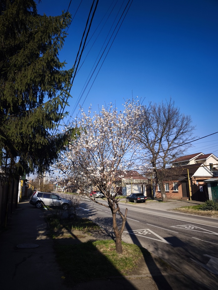 ���� �� �������, � ���������� ����� �����