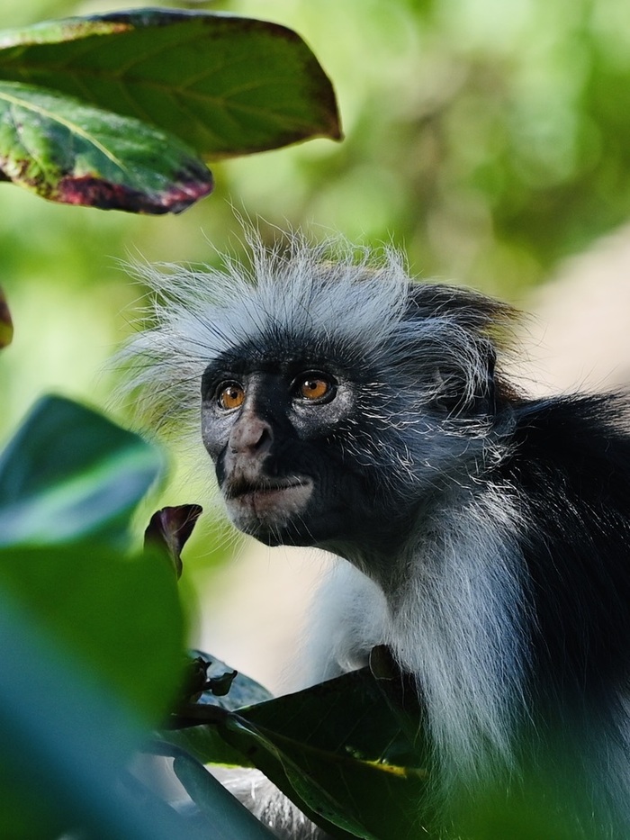 ����� ����� ������������� �������.