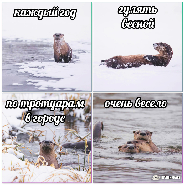 Весна в городе