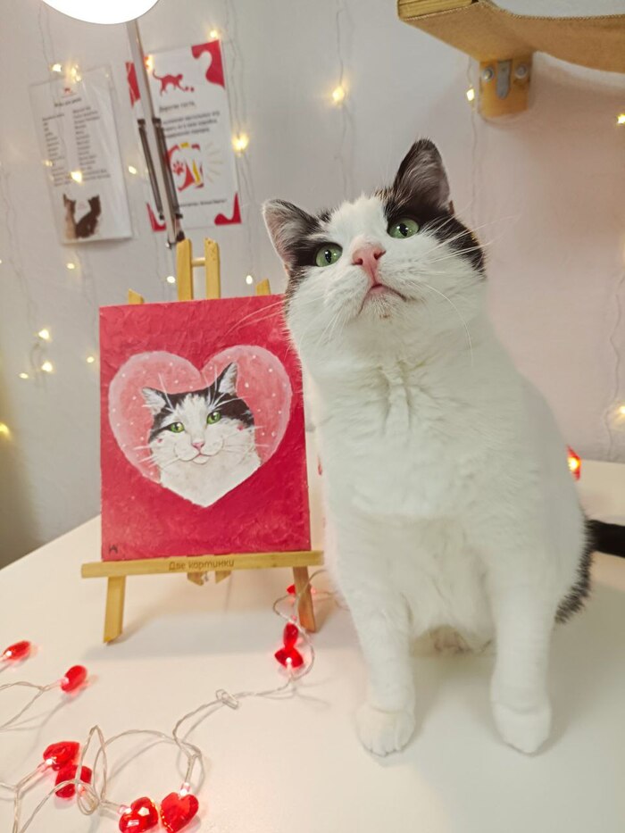 ��� ��� ������ ����������