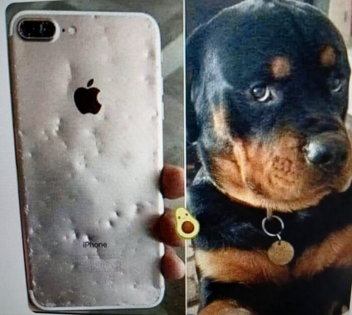 � ��������, � ��� ����