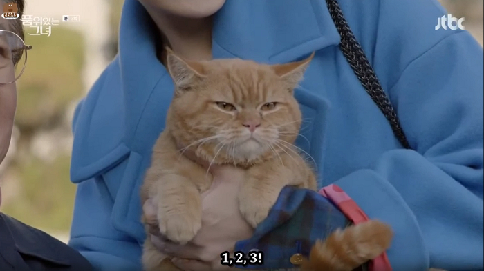 ������� ������� ������������. ��� �� ������� ������� "��-������". �������... ����� �� "������"?