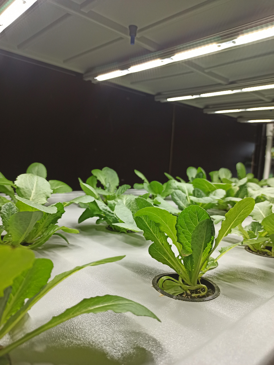 Aeroponics: The Complete Guide to Growing Plants Without Soil - Vertical Truss, Aeroponics, Hydroponics, City Farm, Longpost