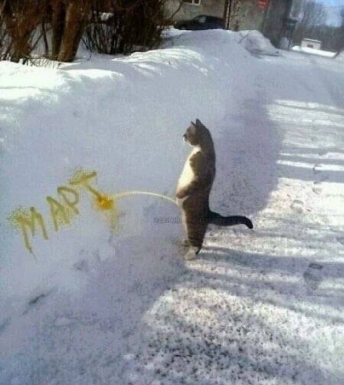 ��, ��� ����� ������� � ������ � ��� ������: