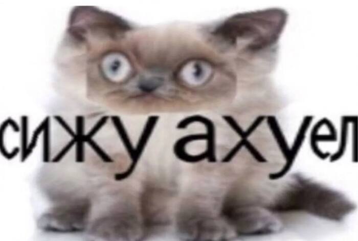 ��� ������ ������� �������?