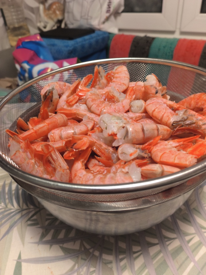 � ���� ���� �������.