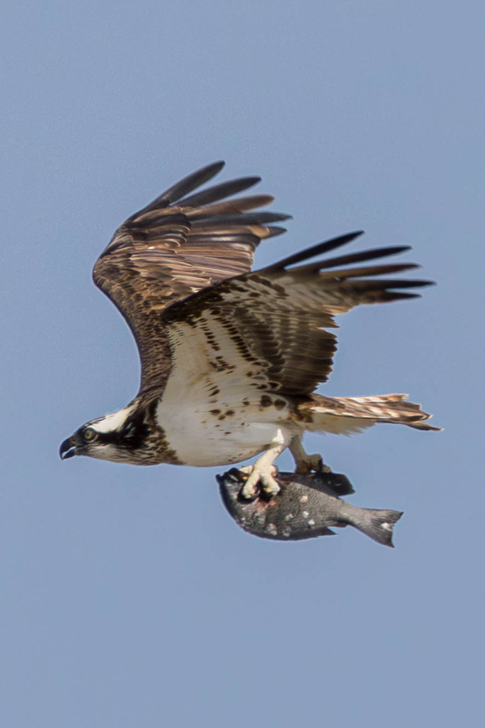 ���� ����� � ��������� ���� ���������: ���� ����� �������� �������������� �����, �������� ������� ���� ����� �������� ������� � ����� �����, ��� �������� .�� ���������� ������� ������� ���� ������ ������, ����� ���������� ���� ����� ��������� ������ .