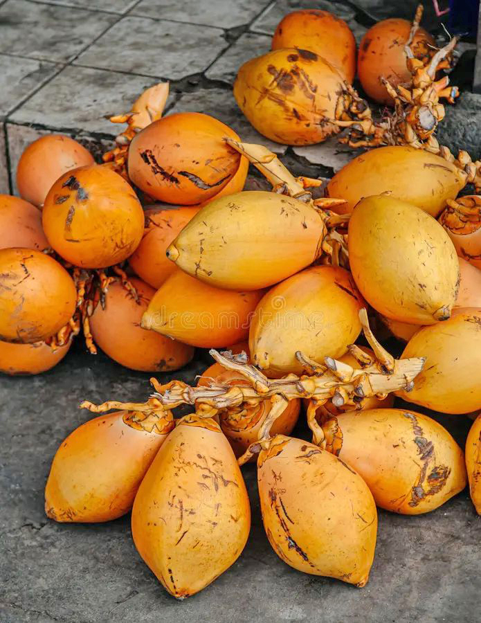 Связки тамбили продают на рынках и вдоль дорог. Шри-Ланка. Фото с сайта <!--noindex--><a href="https://pikabu.ru/story/kokos_tambili_13783298?u=http%3A%2F%2Fdreamstime.com&t=dreamstime.com&h=b21c69dc6e1c855b67508a54b98ad221878515fb" title="http://dreamstime.com" target="_blank" rel="nofollow noopener">dreamstime.com</a><!--/noindex-->.