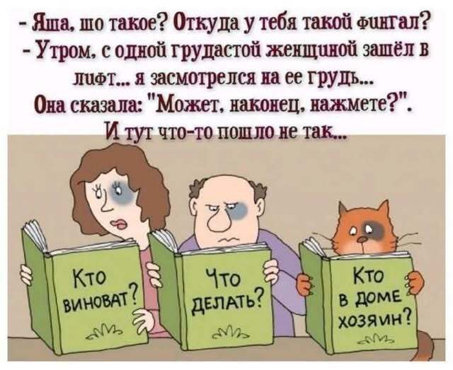 На рефлексах