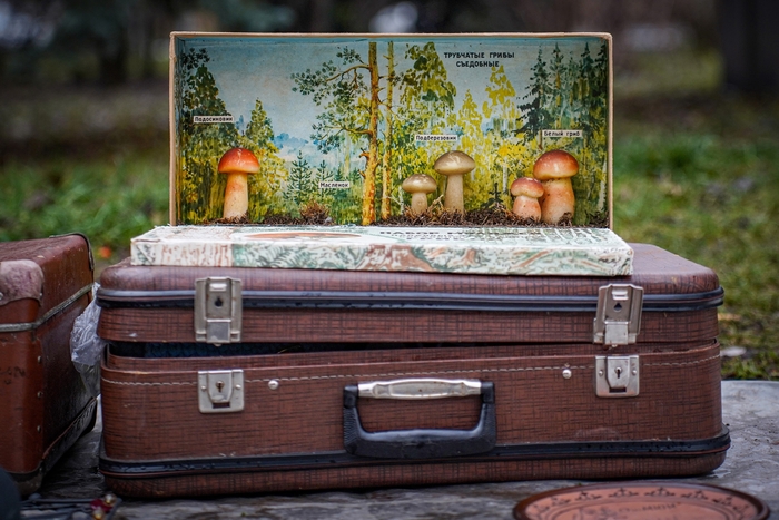 Набор грибонавта.