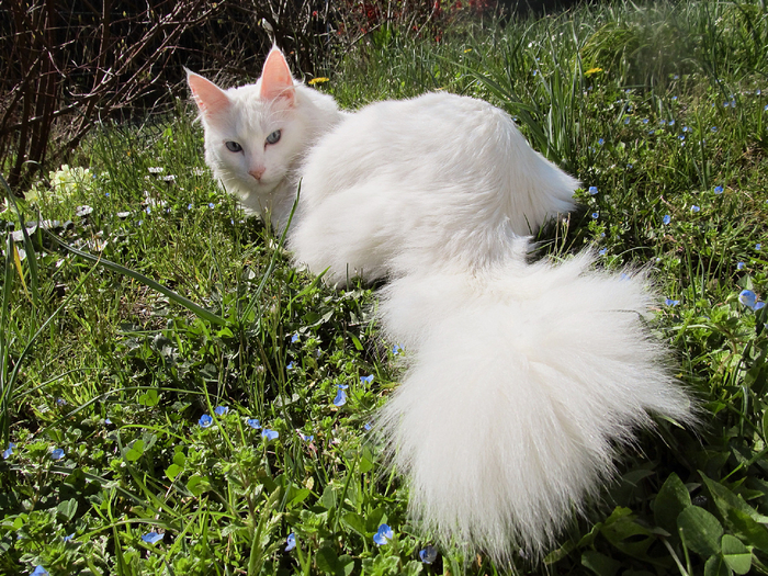 ���� ���������� ������� ��������.