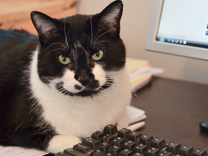 ���������, ��� ��� �� �������� �������, �� � ������� ��������� ���� ������ ������ �� ��������� ����� ��� ��� � ����. � �� �� ������, ����� ��������� ��������.