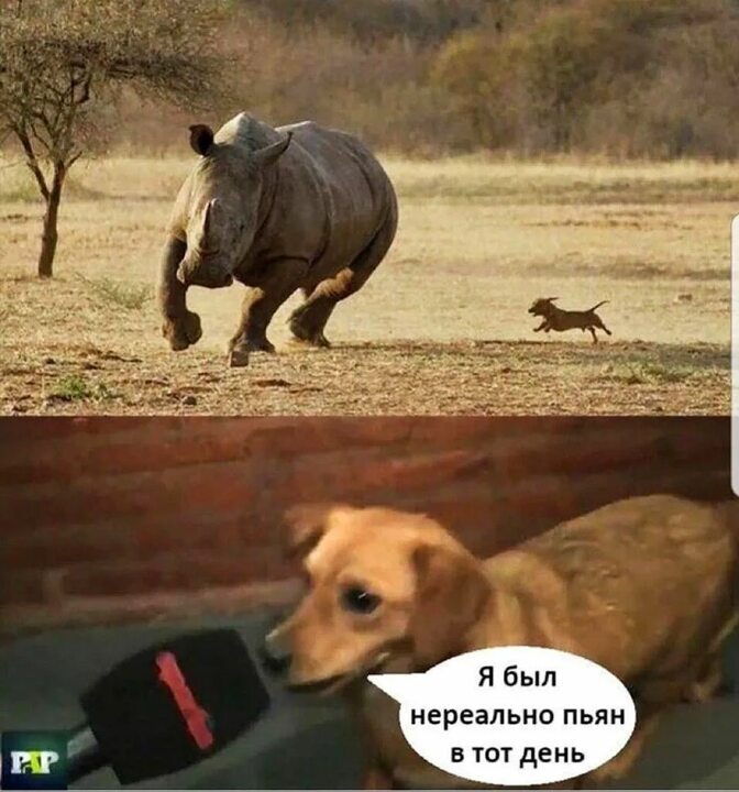 � ��� �� ��������� ��������� �������?