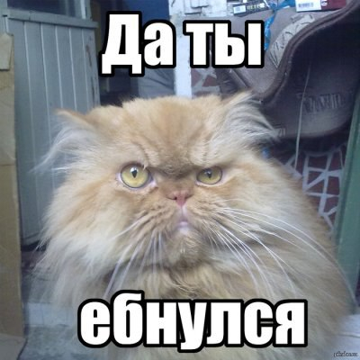 Скажете вы и будете правы! Ебнутый наивный дурак...