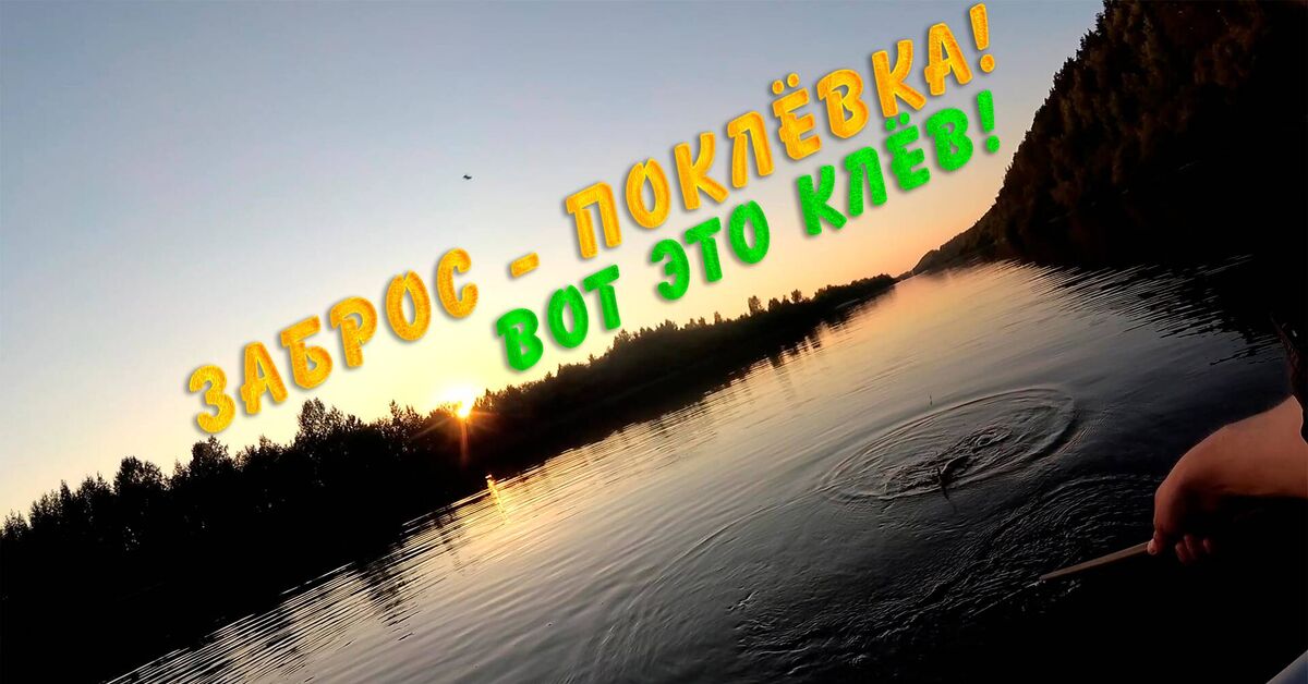 What a bite! A bite with every cast! - My, River, Camping, A fish, Fishing, Video, Rutube