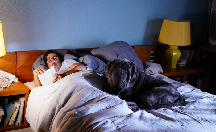 ����� ��� ��������