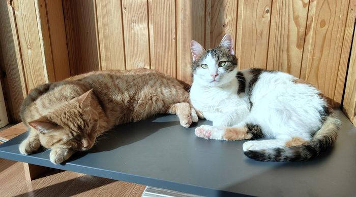 ���� � ��������� �������� ��������� ��������!