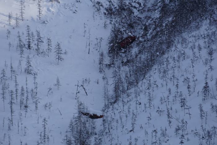 ����� ����