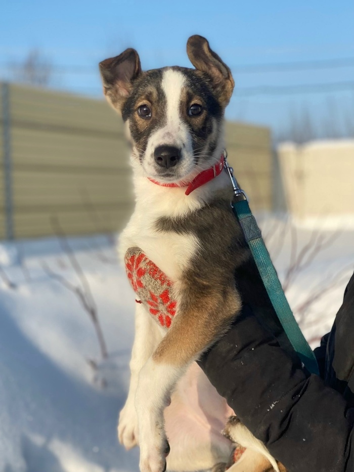 �� ���� ����. ��� ���������