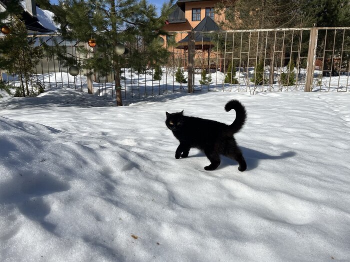 �� ��� ��� ��� ���� ����� ���...