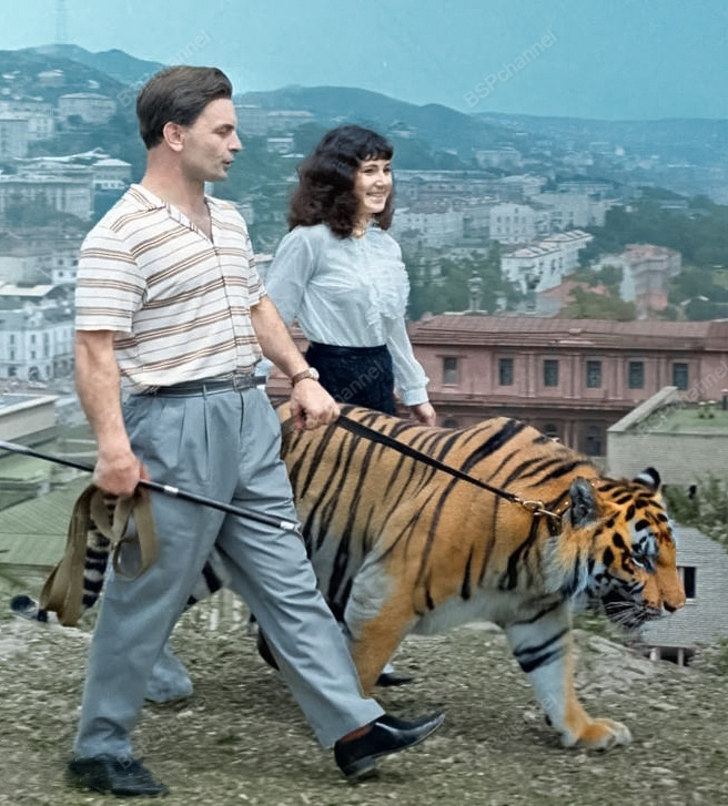 �����: �. �����������