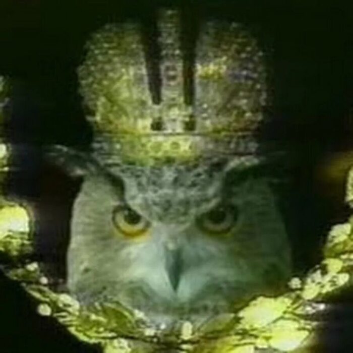 ��� �����, ��� ����