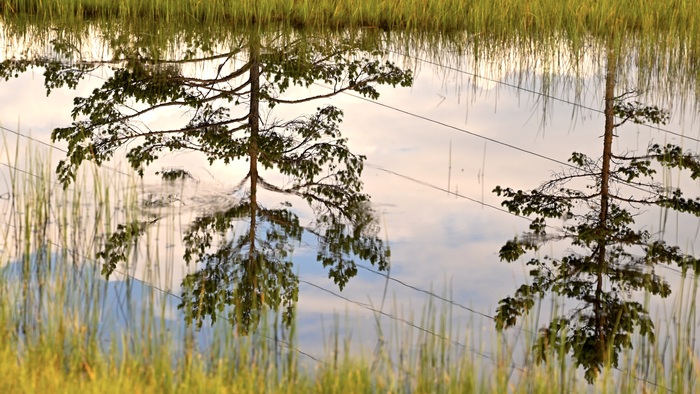 �������� ��������� #1, ��������������� ����������� ����������. 