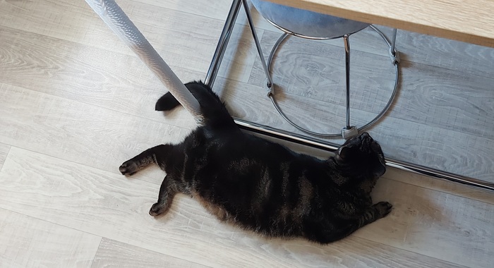 Очень удобно