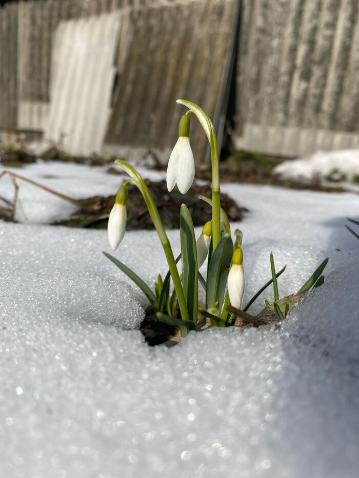 ������ � ��� ��� ��� �������� �����������, ����� ��� �����, ��� ������������. ��� ������ 2025 �