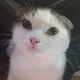 ������ ������������ Ma193