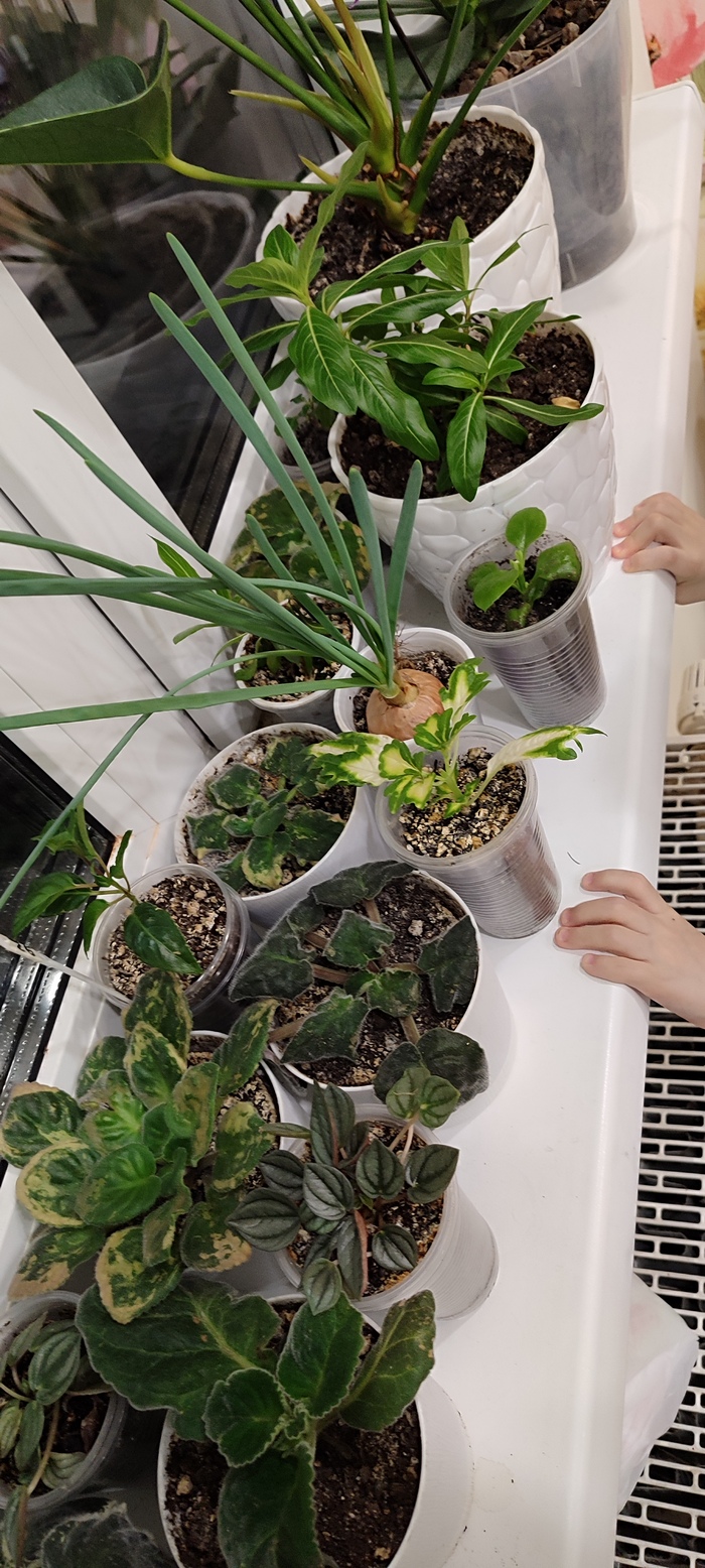 ��� ��� ����� ��������� ���������� ������)))