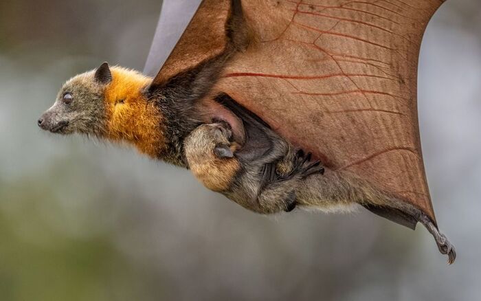 ���� � �����