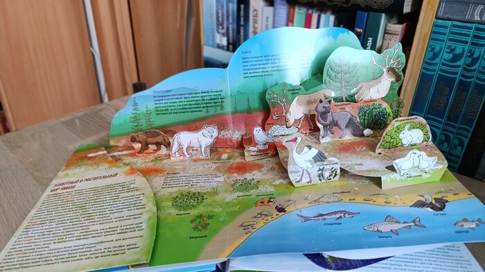 �������� ��� �������� ��� �����