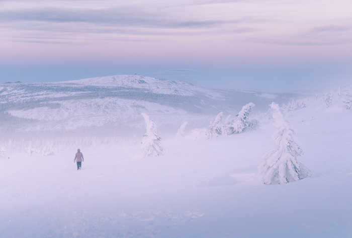 ��������� �����