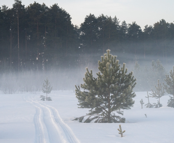 Мартовские утренний туман