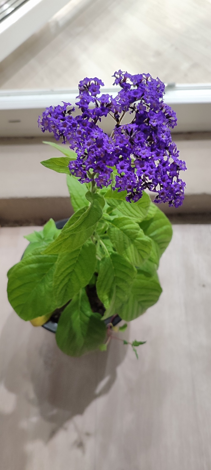 ��������� ������. ���������