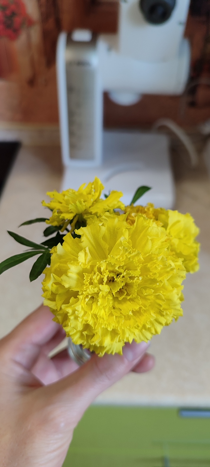 ����� ������ ������� ����������� ��������������� ����� ��������