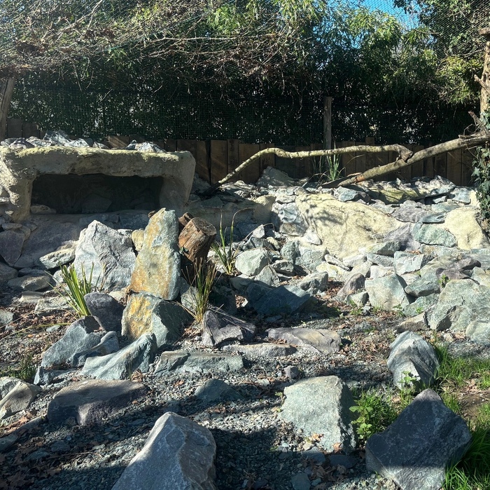 ����� ����, ������ ������, ������ ����